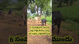 మేము ఓ Tiller కొన్నాం 🥰  We Bought A Tiller ☺️  Cultivator  shorts [upl. by Lundquist]