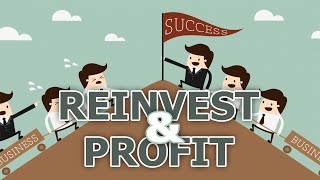 Steps for Reinvesting Profits to Grow Your Business [upl. by Mackenzie]