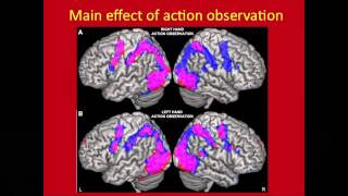 Learning and Memory Processes Mechanisms and Application to NeuroRehabilitation [upl. by Siegfried]