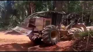 SKIDDER CAT 525 D no arraste de IPE [upl. by Nylirem]