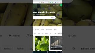 How to download images from pixabay free ©🔥😮 pixabay copyrightfree imege [upl. by Jari519]