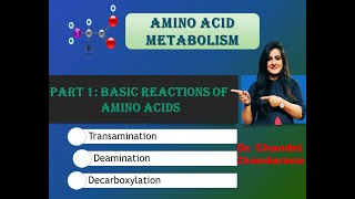 Amino acid metabolism part 1  Basic reactions of amino acids Transmination  Deamination  BPharm [upl. by Brant]