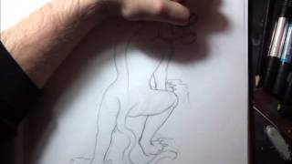 How to Draw a Oriental Tiger Tattoo style design by thebrokenpuppet [upl. by Daffi838]