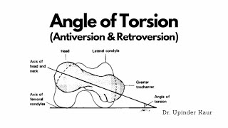 Angle of Torsion [upl. by Salohci]