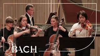 Bach  Concerto for two violins in D minor BWV 1043  Sato and Deans  Netherlands Bach Society [upl. by Valeta]