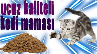 KALİTELİ UCUZ KEDİMİ MAMASI OLURMU  UCUZ KEDİ MAMALARI [upl. by Arykahs342]