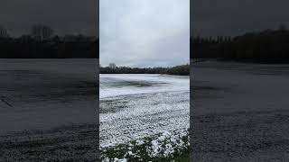 Manchester Snowfall 2024❄️ shortvideo unitedkingdom manchester snow snowfall 2024 [upl. by Ettennad13]