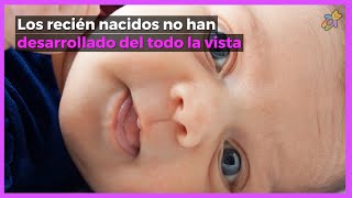 👀¿Cómo ven bebés hasta los 5 meses👶🏼 Descubre la súper vista que tiene tu pequeño 😍 [upl. by Droffig124]