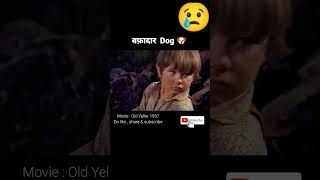 वफ़ादार Dog 🐶  Old Yeller 1957  movie explained in hindi  shorts viral hopclimax [upl. by Cecilius403]