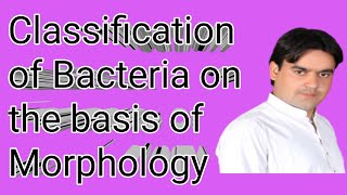 Classification of Bacteria on the basis of Morphology  class 11 Biology [upl. by Hasin]