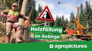 Holzernte mit Seilbahn am Steilhang  TST forestry 600 Gebirgsharvester und TST Timbernator [upl. by Bruni]