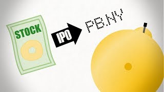 The IPO Process [upl. by Pubilis867]