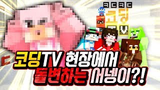 코딩TV 현장에서 돌변하는 서넹 ‘2018 달력 만들기’ 1편  마인크래프트 [upl. by Nilrah]