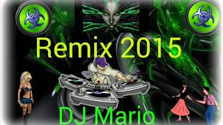 DJ Mario Remix Mix 2015 [upl. by Dailey]