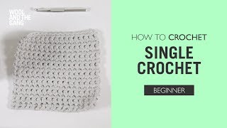 How to Crochet Single Crochet [upl. by Eberta132]