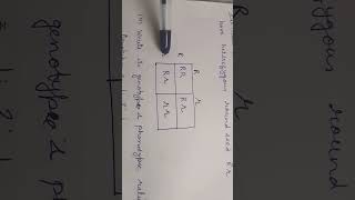 Punnett square [upl. by Hedvig221]