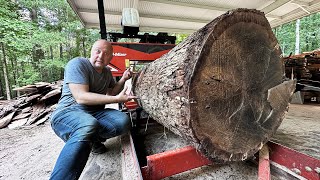 Milling White Oak Log into Live Edge Slabs with a WoodMizer LX55 Sawmill [upl. by Evette]