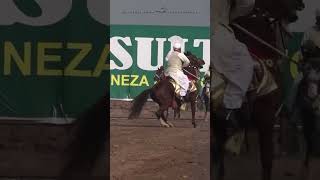 Sultania Awan Club Rider horseriding nezabazi pakistanihorses horse [upl. by Ardnod]