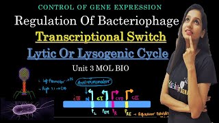 Lytic vs Lysogenic Cycle Switch I Regulation Of Phages I Control Of Gene Expression I Lambda Phage [upl. by Emil]