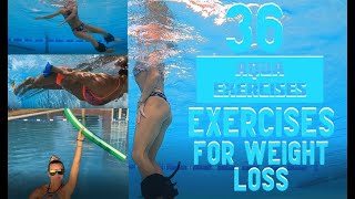 36 Best Aqua Exercises for Weight Loss that burn the most calories per hour [upl. by Matty]