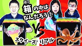 うきゃ～😱 箱の中はなんだろう？ リアル VS スクイーズ 🤔 チャレンジ かほせい対パパ [upl. by Weinhardt938]