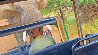 Elephant Picks up and Throws Truck full of Tourists [upl. by Cupo160]