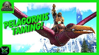 Taming a Pelagornis and Taking it Fishing Ep30 ARK Fjördur [upl. by Einnus]