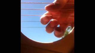 iphone 4 inside a guitar oscillation VERY GOOD [upl. by Helenka]