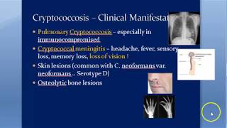 Microbiology 588 a Cryptococcus neoformans Cryptococcosis Cryptococcal meningitis Mycology Gattii [upl. by Colwen]