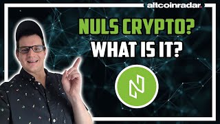 What is NULS Crypto NULS Crypto for Absolute Beginners [upl. by Isus]