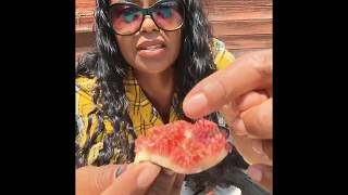 DO NOT WATCH THIS IF YOU EAT FIGS Youve been warned [upl. by Tova]