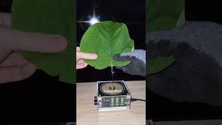 🍃 Music Tesla Coil experiment leaf shorts [upl. by Cooe322]