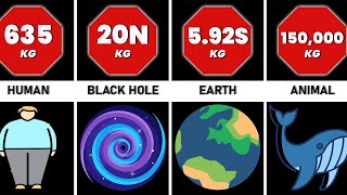 Comparison Heaviest Things [upl. by Niattirb]