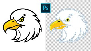 Quick Image Tracing in Photoshop and Convert It to Vector Graphics SVG or EPS [upl. by Shoshana]