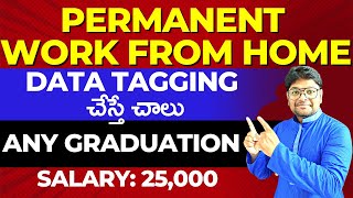 Permanent Work from Home jobs  Data Tagging jobs  Any UG  Latest jobs in Telugu 2023VtheTechee [upl. by Scutt685]