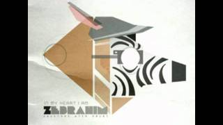 Zebrahim  Zizzle [upl. by Linell]