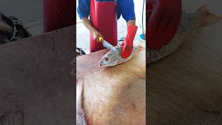 Amazing skill of the fishmonger in skinning fish  Cutting Skills [upl. by Emalee]