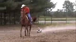 Month of Stunts  Intern Joe is pulled by a horse at Licciardello Farm Its Rodeo Joe [upl. by Heller]