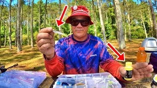 The ULTIMATE Bank Fishing Setup Catch ANY Fish With THIS ONE Setup [upl. by Nyloj]