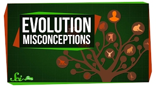 Common Misconceptions About Evolution [upl. by Ahsinac]