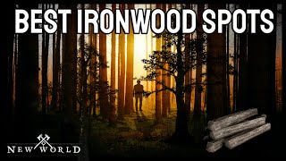 Farm Ironwood HERE to make Gold in New World 2023 [upl. by Eeldarb]