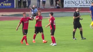 SV Waldkirch gegen SC Freiburg  Highlights [upl. by Casta120]