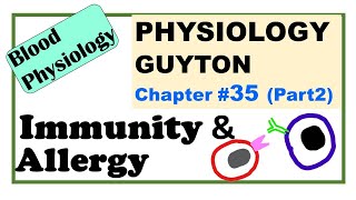 Ch35 Part2 Physiology Guyton  Immunity amp Allergy Acquired Immunity  LymphocytesBlood Physiology [upl. by Umeko926]