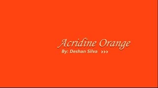 Acridine Orange  3D Model and More [upl. by Dacey]