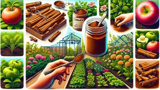 Gardeners are raving about cinnamon – here’s why your plants need it NOW [upl. by Nosnar]