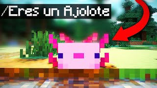 🐡COMANDO PARA SER AJOLOTE EN MINECRAFT Sin Mods [upl. by Damiano251]