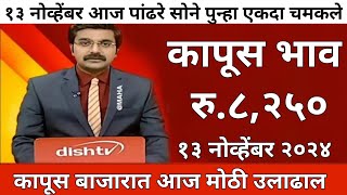 १३ नोव्हेंबर कापूस बाजार  महाराष्ट्रातील सर्व जिल्ह्याचे आजचे कापूस भाव kapus bhav cotton rate [upl. by Worth]