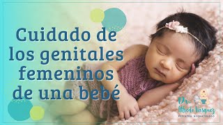 CUIDADOS de los genitales Femeninos de una Bebé  PEDIATRA NEONATOLOGO [upl. by Phail279]