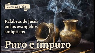 Lo puro y lo impuro  Palabras de Jesús [upl. by Tica517]