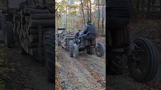 Malo ga pretovari😅 balkan automobile viralvideo duet offroad funny balkanculture fyy horse [upl. by Okramed527]